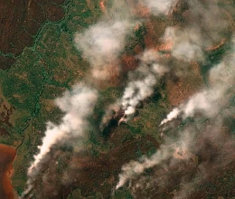 blog image